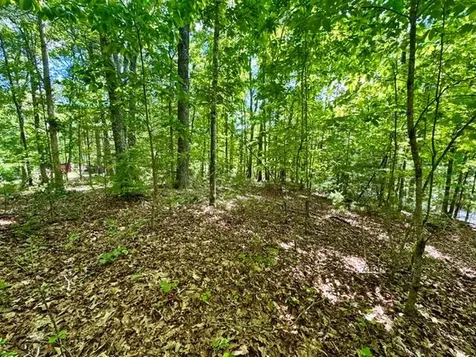Lt 3 Rockridge Road Murphy NC 28906