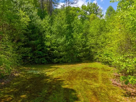 1364 Atoah Road Robbinsville NC 28771
