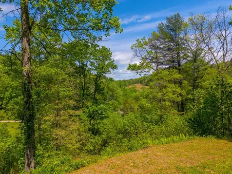 1364 Atoah Road Robbinsville NC 28771