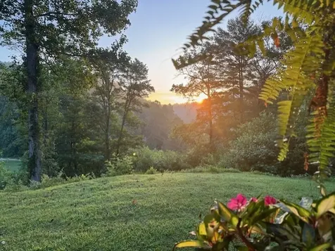 1364 Atoah Road Robbinsville NC 28771