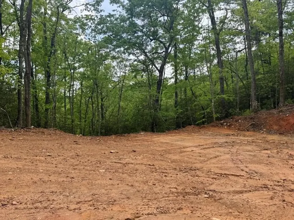 00 Tyler Lane Marble NC 28905
