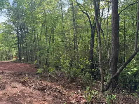 00 Tyler Lane Marble NC 28905