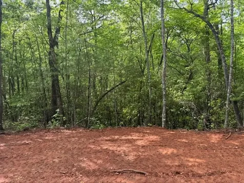 00 Tyler Lane Marble NC 28905