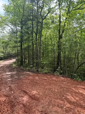 00 Tyler Lane Marble NC 28905