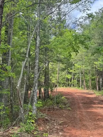 00 Tyler Lane Marble NC 28905