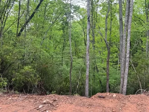 00 Tyler Lane Marble NC 28905