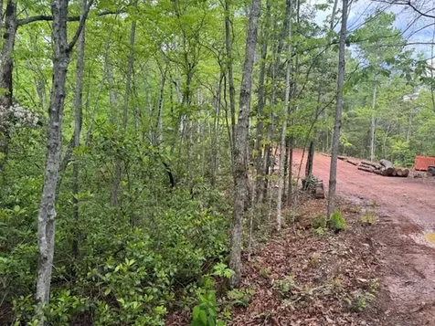 00 Tyler Lane Marble NC 28905