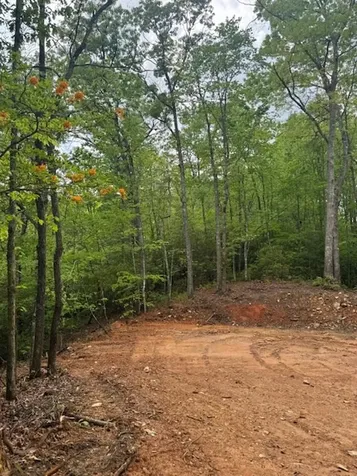 00 Tyler Lane Marble NC 28905