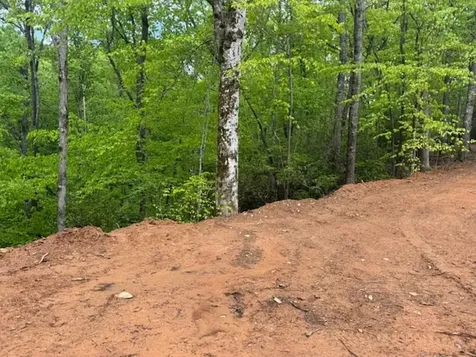 00 Tyler Lane Marble NC 28905