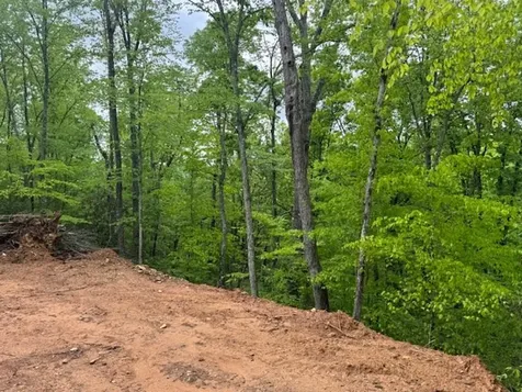 00 Tyler Lane Marble NC 28905