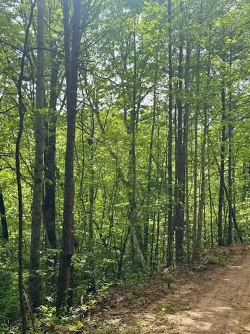 00 Tyler Lane Marble NC 28905