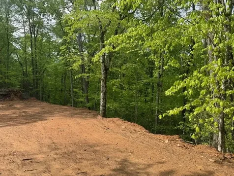 00 Tyler Lane Marble NC 28905