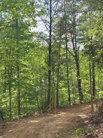 00 Tyler Lane Marble NC 28905
