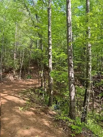 00 Tyler Lane Marble NC 28905