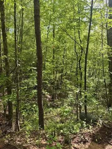 00 Tyler Lane Marble NC 28905