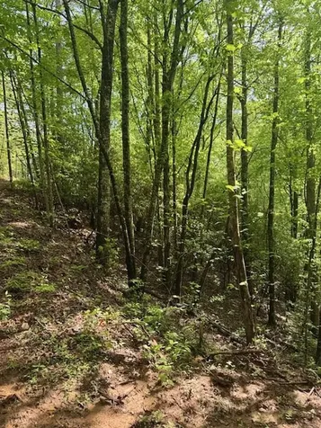 00 Tyler Lane Marble NC 28905