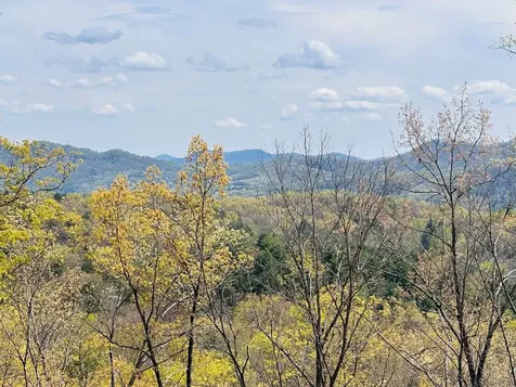 39 Horseshoe Branch Murphy NC 28906