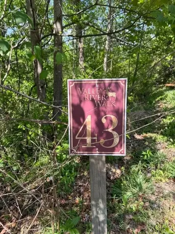 Lot 43 Silo View Marble NC 28905