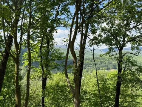 Lot 43 Silo View Marble NC 28905