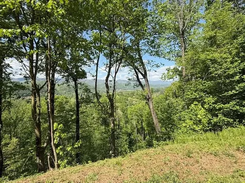 Lot 43 Silo View Marble NC 28905