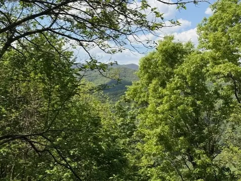 Lot 43 Silo View Marble NC 28905