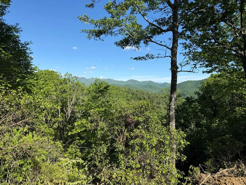 294 Shearer Ridge Hayesville NC 28904