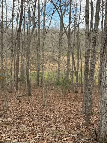 2-5 Country Lane Murphy NC 28906