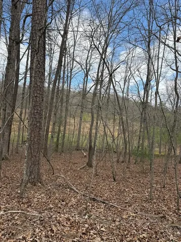 2-5 Country Lane Murphy NC 28906
