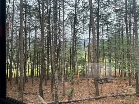 Lot 5 Morganton Highway Suches GA 30572