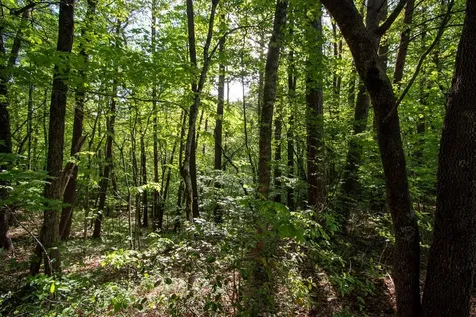 36 Mountain Top Road Marble NC 28905