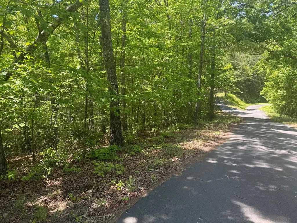 0 Hidden Lane Murphy NC 28906