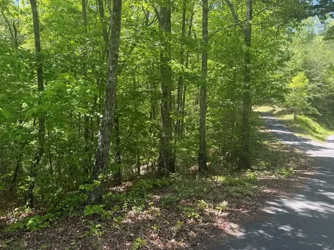 0 Hidden Lane Murphy NC 28906