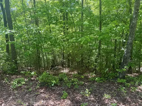 0 Hidden Lane Murphy NC 28906