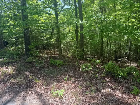 0 Hidden Lane Murphy NC 28906