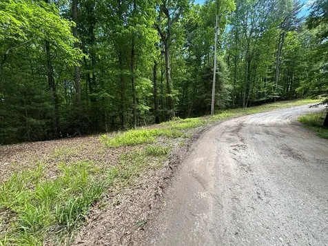Lot 1b Forest Lane Murphy NC 28906