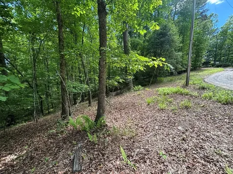 Lot 1b Forest Lane Murphy NC 28906