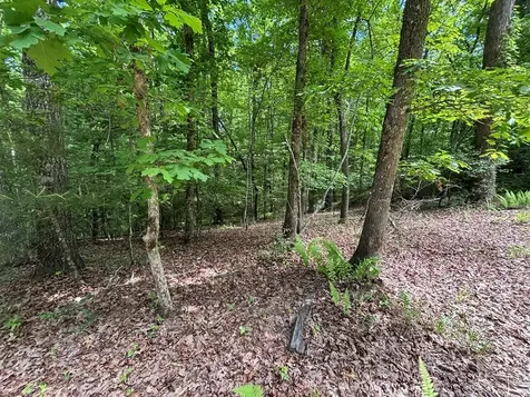 Lot 1b Forest Lane Murphy NC 28906