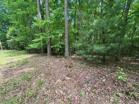 Lot 1b Forest Lane Murphy NC 28906