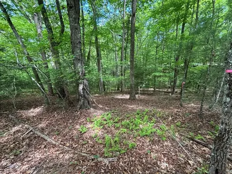 Lot 1b Forest Lane Murphy NC 28906