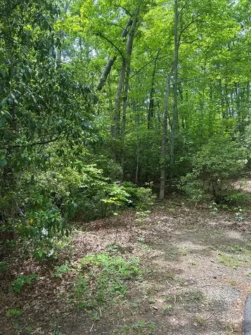 00 Sierra Springs Murphy NC 28906