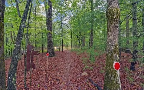 100 Carvers View Trail Murphy NC 28906