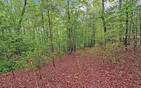 100 Carvers View Trail Murphy NC 28906