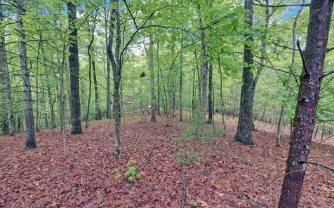 100 Carvers View Trail Murphy NC 28906