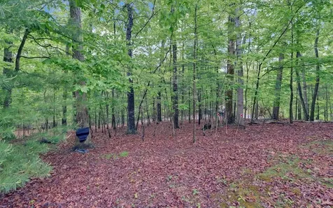 100 Carvers View Trail Murphy NC 28906