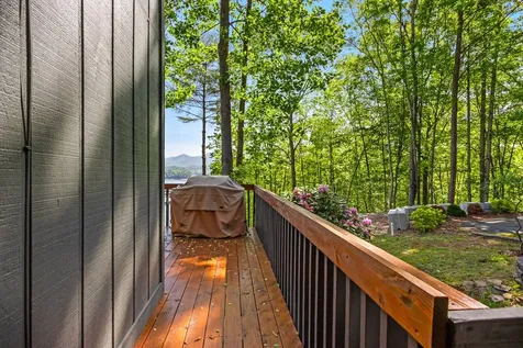87 Snowbird Lane Murphy NC 28906