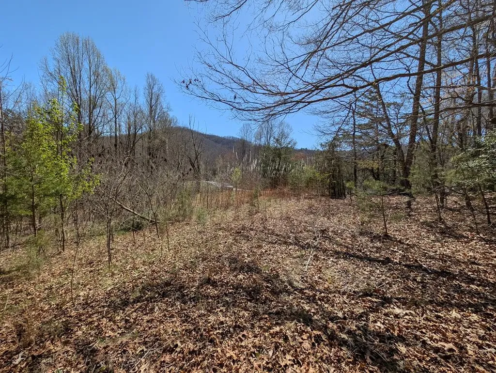 Lot 108 Smokerise Drive Hayesville NC 28904