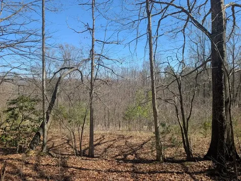 Lot 108 Smokerise Drive Hayesville NC 28904