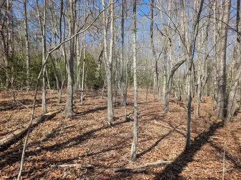 Lot 108 Smokerise Drive Hayesville NC 28904