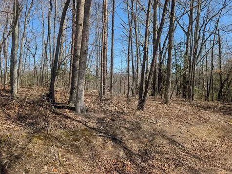 Lot 108 Smokerise Drive Hayesville NC 28904