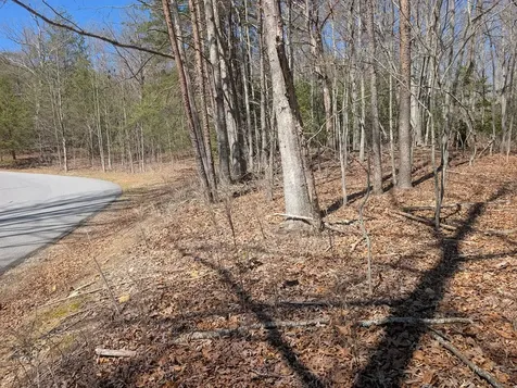 Lot 108 Smokerise Drive Hayesville NC 28904
